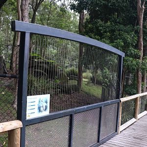 Proserpine Rock Wallaby Enclosure