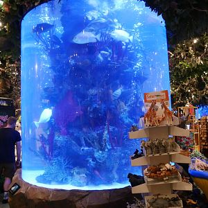 Rainforest cafe main tank