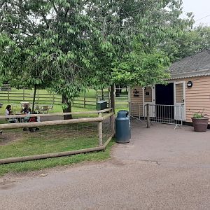 Howletts Food & Social Distancing 20/06/2020