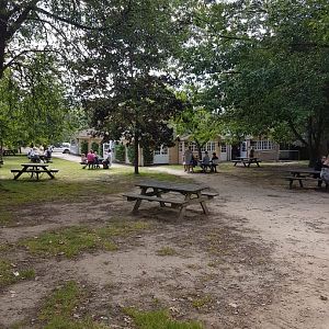 Howletts Food & Social Distancing 20/06/2020