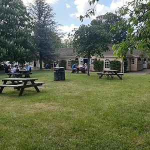 Howletts Food & Social Distancing 20/06/2020