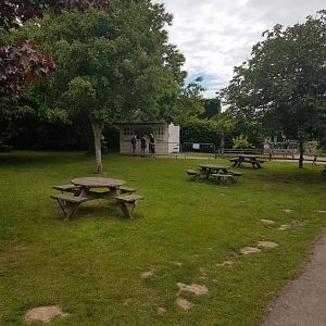 Howletts Food & Social Distancing 20/06/2020