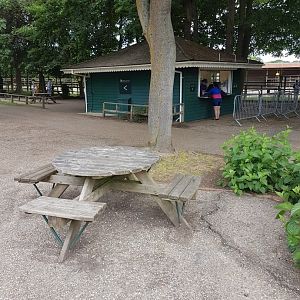 Howletts Food & Social Distancing 20/06/2020