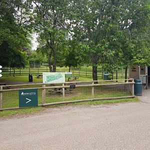 Howletts Food & Social Distancing 20/06/2020