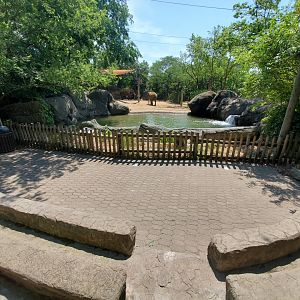 Jun. 2020 - Elephant Reserve - Seating + Right Exhibit