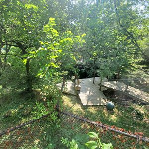 Jun. 2020 - White Lions of Timbavati