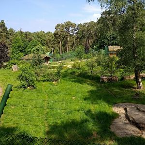 Wildpark Lüneburger Heide- amur tiger enclosure- 2020