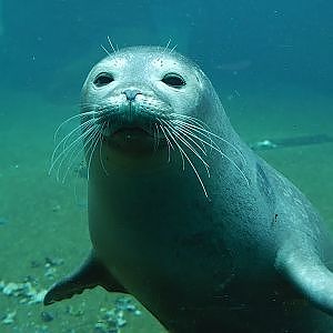 Paul & Lynsey's Zoo Tour #102 Zoo Frankfurt - YouTube