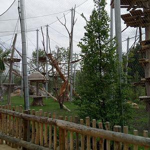 Tropical dome - future douc langurs aviary completed