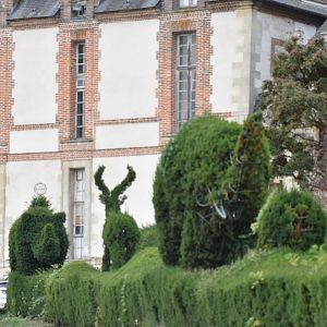 Manicured hedges near the entrance - castle in the background
