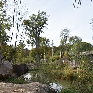Lemur Islands at Thoiry - about 1/4 of the whole exhibit