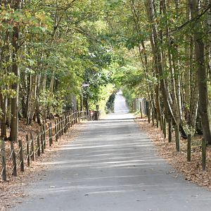 Typical path at Thoiry