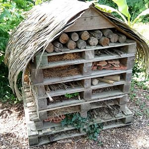 Before entrance - Insect hotel