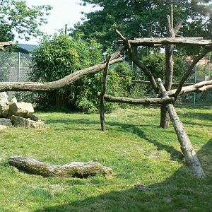 Black leopards exhibit - second enclosure