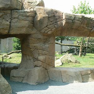 Black leopards exhibit - Viewing windows into the first enclosure