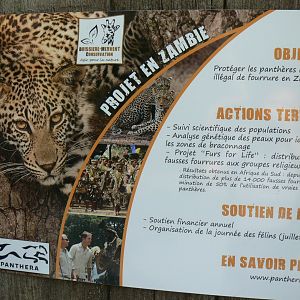 Black leopards exhibit - Conservation signage