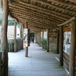 Australian walkthrough aviary - walkway