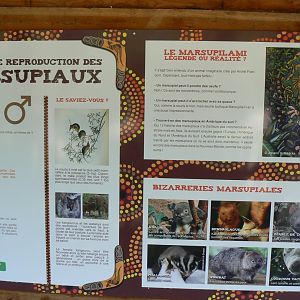 Australian walkthrough aviary - Information pannel