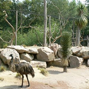 Australia walkthrough aviary