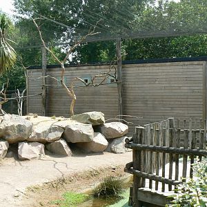 Australia walkthrough aviary - house