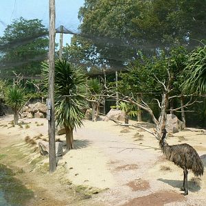 Australia walkthrough aviary