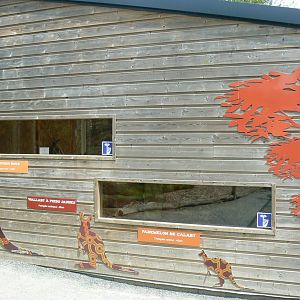 Australia walkthrough aviary - Viewing windows into the house