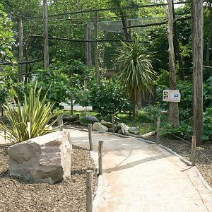 Rainbow lorikeets aviary