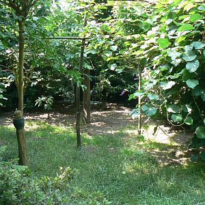 Aviary for black necked cranes, himalayan monal, golden pheasant and red-billed blue magpies
