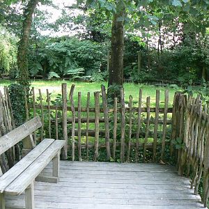 Galapagos giant tortoise exhibit