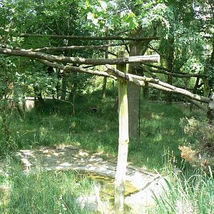 Reeves muntjacs and red pandas exhibit