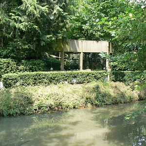 Clouded leopard exhibit