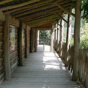 Walkthrough aviary for white-naped cranes, temminck's tragopans and brahminy kites