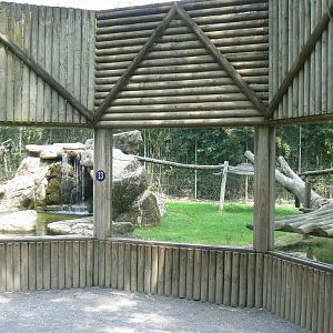 Sumatran tigers exhibit
