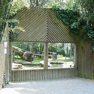Sumatran tigers exhibit