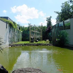 First orangutan enclosure