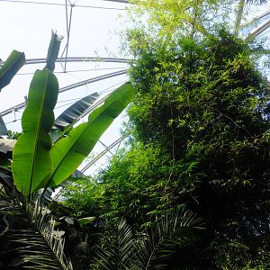 Green Pyramid (South-east Asia house)