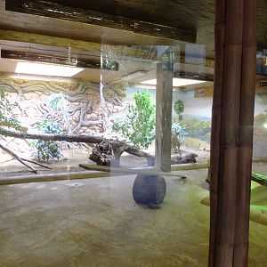 Comodo dragon enclosure