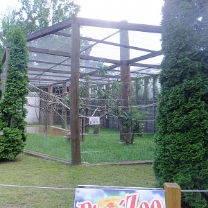 Grey langur enclosure