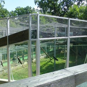 Andean Adventures, Jaguar enclosure