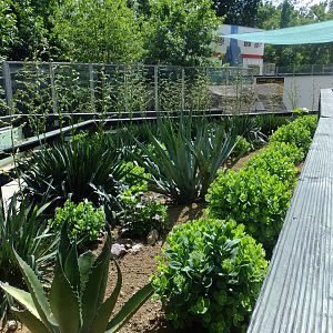 Andean Adventures , general view 1.