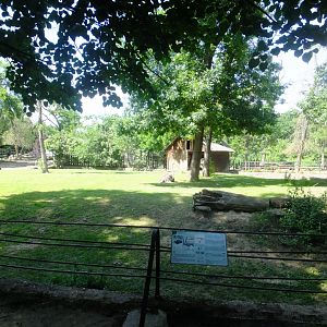 Ostrich enclosure