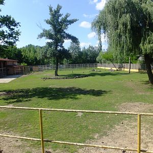 Tarzan's Trail, main exhibit (Rotschild's giraffe, Grevy's zebra, Addax, Sable antelope, Greater kudu)