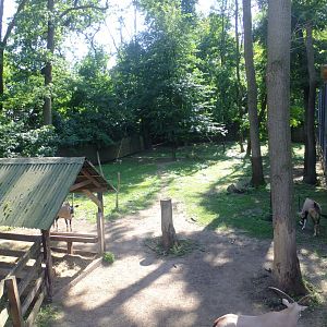 Tarzan's Trail, Gemsbok enclosure