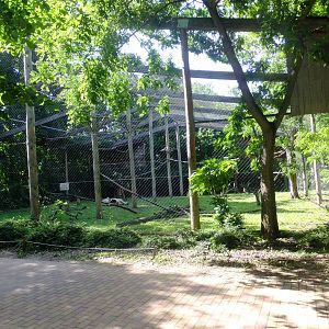 Tarzan's Trail, African bird aviary