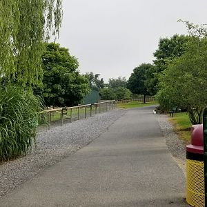 Virginia Safari Park - Just inside entrance