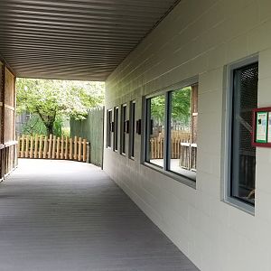 Virginia Safari Park - Reptile area