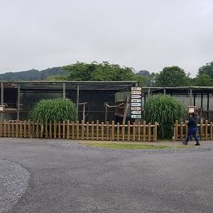 Virginia Safari Park - Path past squirrel monkeys