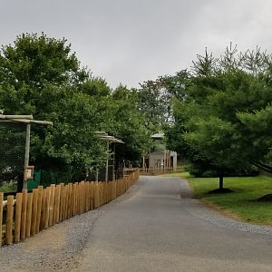 Virginia Safari Park - Path past lemurs (on left)