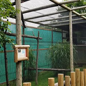Virginia Safari Park - Von der Decken's Hornbill and curassow