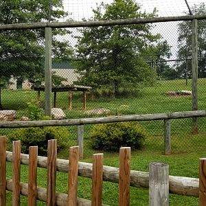 Virginia Safari Park - Right side of tiger exhibit
